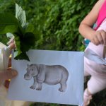 phoca_thumb_m_poklad zajci 11 Fotogalerie